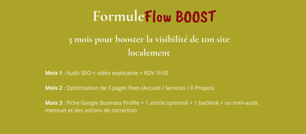 Formules Flow SEO local (4)